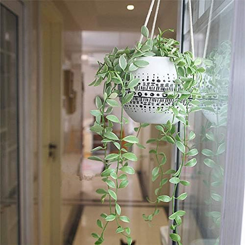 Ceramic Hanging Planter for Indoor Outdoor, Decorative Boho Flower Green Grass Plant Succulent Air Plants Hanging Plant Pots Holder