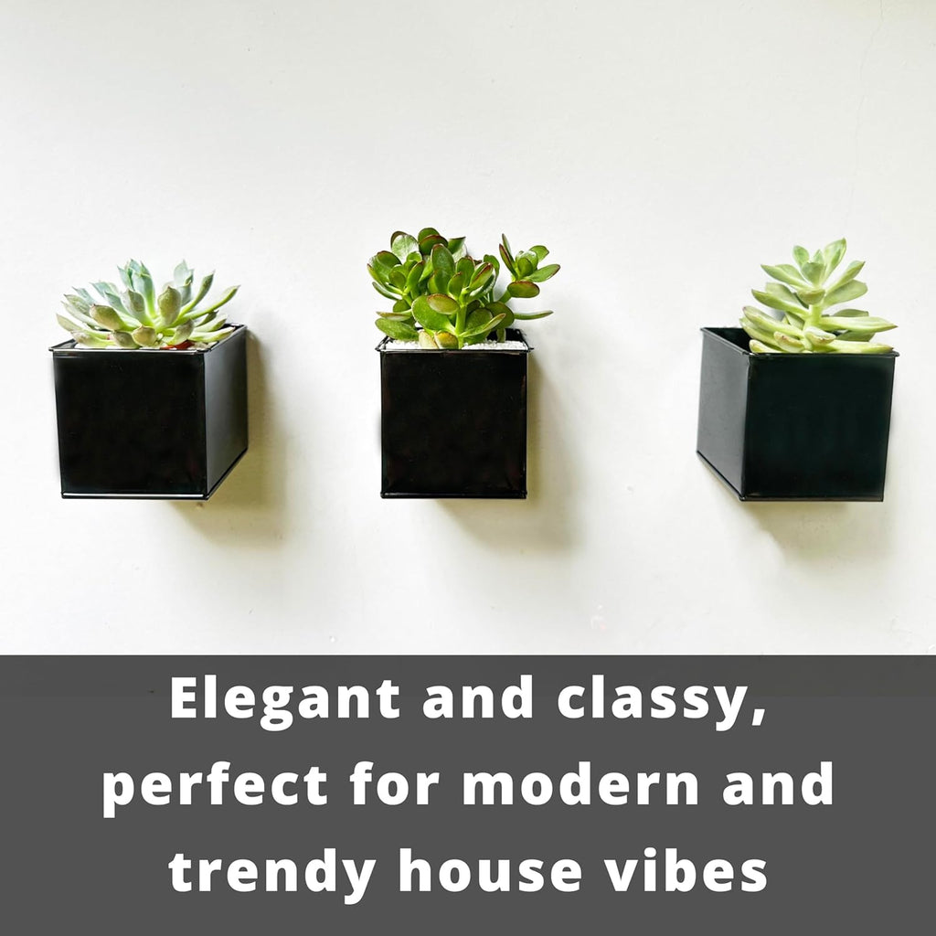 Lalagreen Wall Planter - 6 Pack, 4 Inch Square Metal Wall Planter for Indoor Plants, Small Black Wall Mounted Flower Pots Outdoor Garden Decoration, Balcony Planters Railings Hanging Outdoor