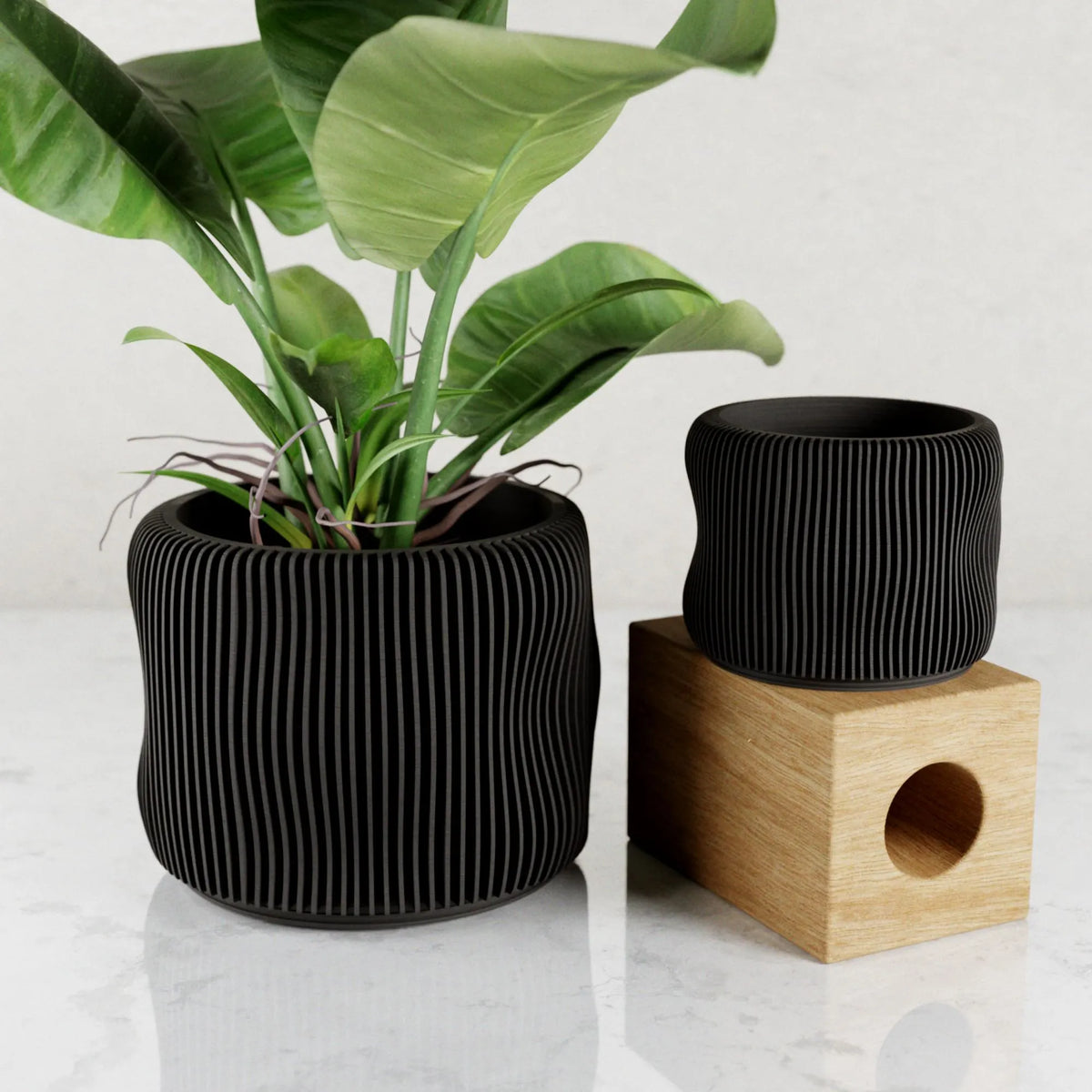 Bubbly Planter | 3D Printed Planter with Drip Tray, Drainage, and Matching Saucer | 3 4 5 6 Inch Pot | Perfect Home Decor Pottery Gift