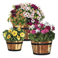 Acacia Wood Barrel Planters (Set of 3)