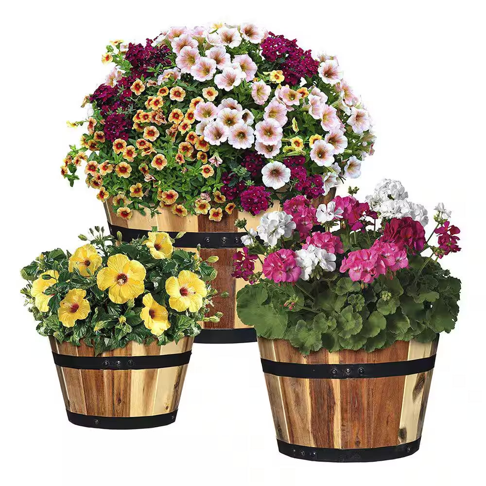 Acacia Wood Barrel Planters (Set of 3)