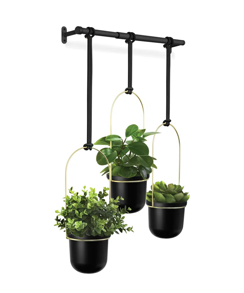 Hanging Planter