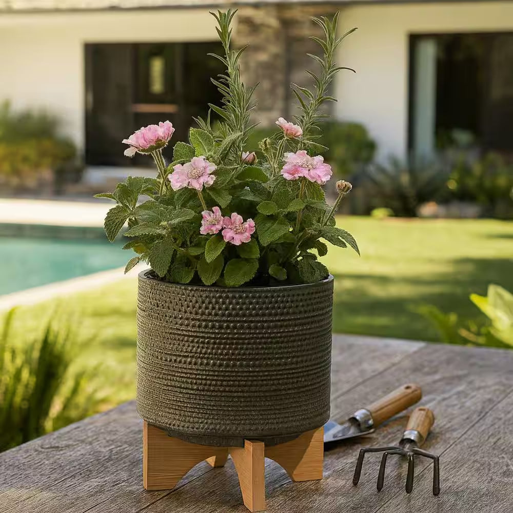 8 In. W X 10 In. Green Ceramic Dotted Decorative Pot on Wooden Stand