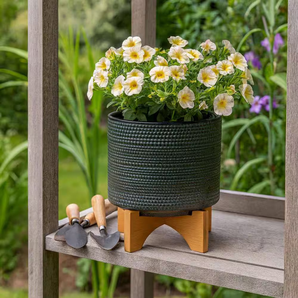 8 In. W X 10 In. Green Ceramic Dotted Decorative Pot on Wooden Stand
