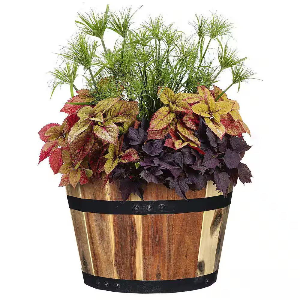 Acacia Wood Barrel Planters (Set of 3)