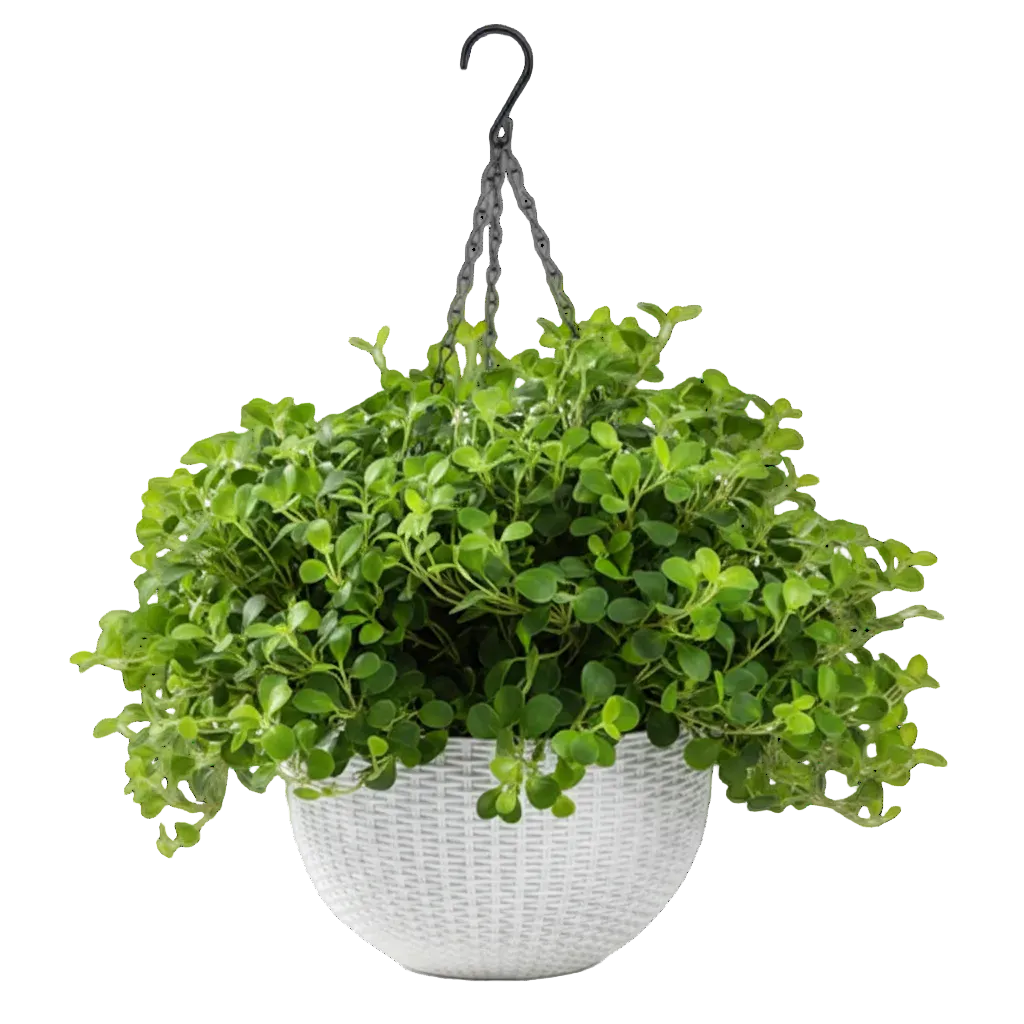 Artisan-Made Macrame Plant Hanger