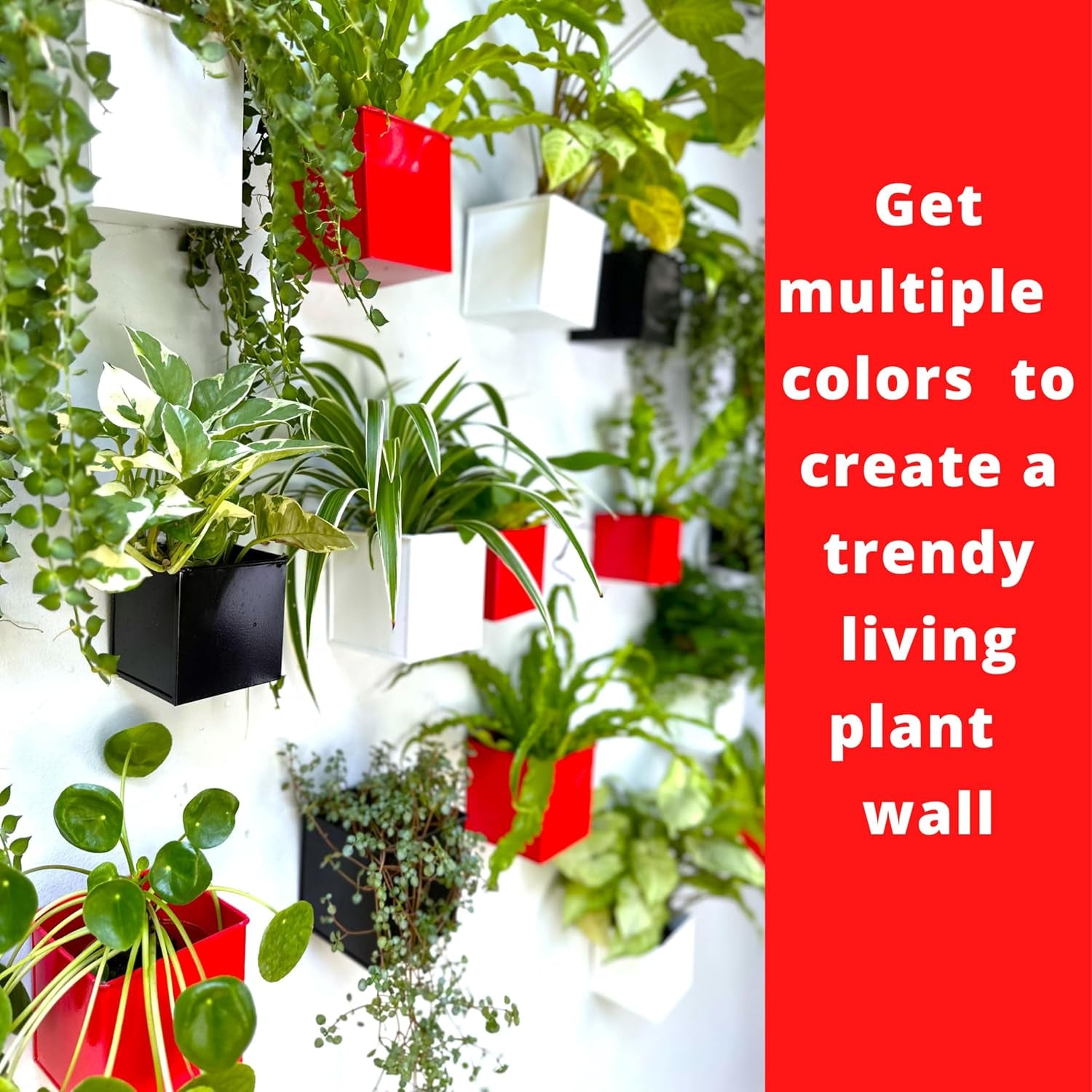 Lalagreen Wall Planter - 6 Pack, 4 Inch Square Metal Wall Planter for Indoor Plants, Small Black Wall Mounted Flower Pots Outdoor Garden Decoration, Balcony Planters Railings Hanging Outdoor