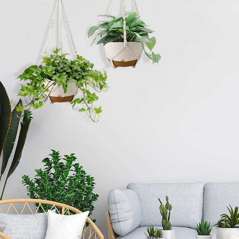 10 In. Dia White Plastic Self-Watering Hanging Planters with Drainage and Dual Hangers (2-Pack)