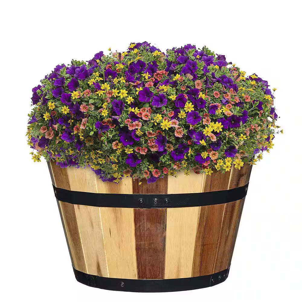 Acacia Wood Barrel Planters (Set of 3)